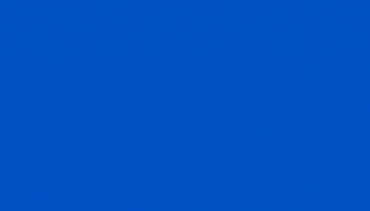 Loyalty Promotion Calendar